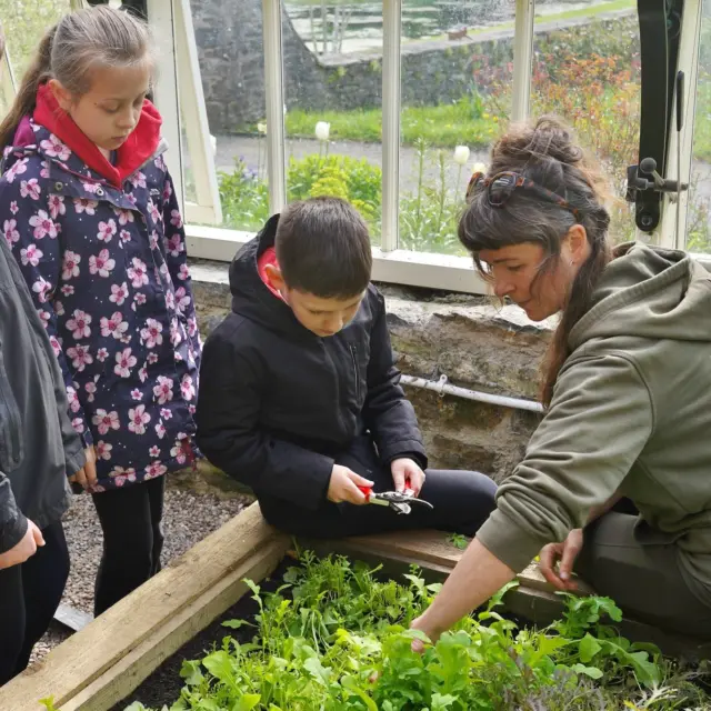 We're on the lookout for volunteer drivers to support school visits to Aberglasney's kitchen garden 🚌 Rydyn ni’n chwilio am yrrwyr gwirfoddol i gefnogi ymweliadau ysgol â gardd farchnad Aberglasney 🫛

Trips to @aberglasney  are a real highlight of our six-week food discovery course! Kids pick fresh produce and cook lunch in the pop-up kitchen. 

You'll receive training, certification, entry to Aberglasney Gardens for the day, a tasty lunch and more. Requirements include 2+ years of driving experience, a DBS check paid for by Cegin y Bobl, and a good driving record. Minibuses are provided by Dolen Teifi Community Transport.

🔗Learn about application requirements, volunteering benefits and more at ceginybobl.co.uk/volunteer. Link in bio!