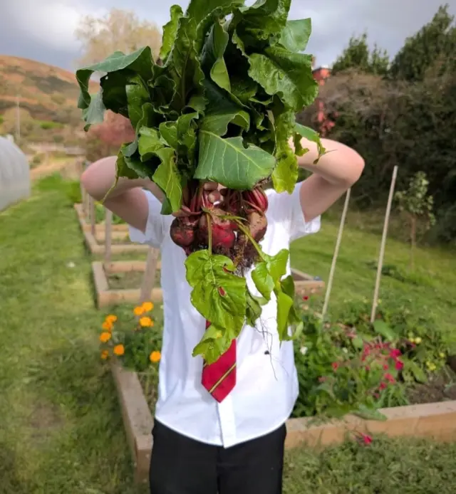 Next stop: Neath Port Talbot 👀

We’re excited to announce that Cegin y Bobl and Neath Port Talbot Food Partnership are teaming up for a new project starting this September. 

Schoolchildren at a local school will experience a six-week Food Discovery course: getting stuck-in in the kitchen, cooking food from scratch, and picking fresh ingredients on a farm.

Another step forward in our mission to #GetWalesCooking! 👏

Ein lleoliad nesaf: Castell-nedd Port Talbot 👀

Newyddion cyffrous! Mae Cegin y Bobl a Partneriaeth Bwyd Castell-nedd Port Talbot yn dod at ei gilydd ar gyfer prosiect newydd sbon, yn dechrau fis Medi.

Bydd disgyblion o ysgol leol yn cael blas ar gwrs Darganfod Bwyd chwe wythnos: yn coginio bwyd ffres, go-iawn yn y gegin, a chasglu cynnyrch ffres o’r fferm i’w goginio.

Cam arall ar ein daith i #TanioCeginCymru! 👏