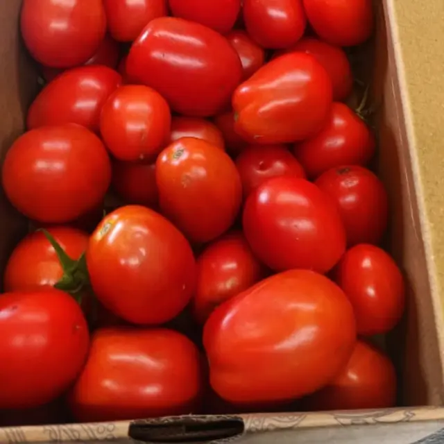Diolch Jenny! Jenny donated 5 kilos of home-grown tomatoes. We can’t wait to get cooking with these ❤️💚