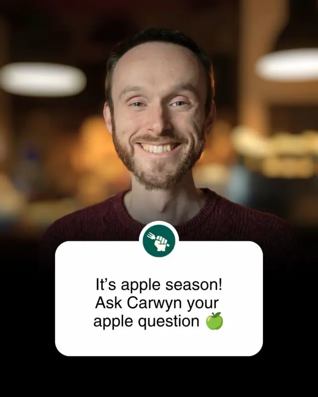 Ask Carwyn Graves anything about apples! 🍎 

We love apples. And our co-founder @carwyngraves might love them most of all! Now’s your chance to pick his brain. 

Drop your question in the comments and he’ll answer some of the best - from growing to cooking to history and traditions!

Ask away 👇

Gofynnwch unrhyw beth i Carwyn Graves am afalau! 🍎

Rydyn ni’n caru afalau. Ac efallai ein cyd-sylfaenydd @carwyngraves sy’n caru nhw fwyaf! Dyma’ch cyfle i holi Carwyn! 

Gadewch eich cwestiwn yn y sylwadau a bydd Carwyn yn ateb rhai o’r goreuon - o tyfu i goginio i hanesion a traddodiadau!

Holwch yma 👇